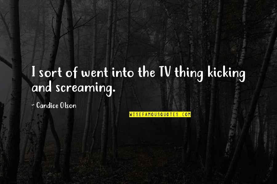 Kicking Screaming Quotes By Candice Olson: I sort of went into the TV thing