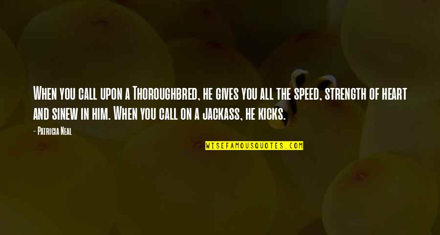 Kicks Quotes By Patricia Neal: When you call upon a Thoroughbred, he gives