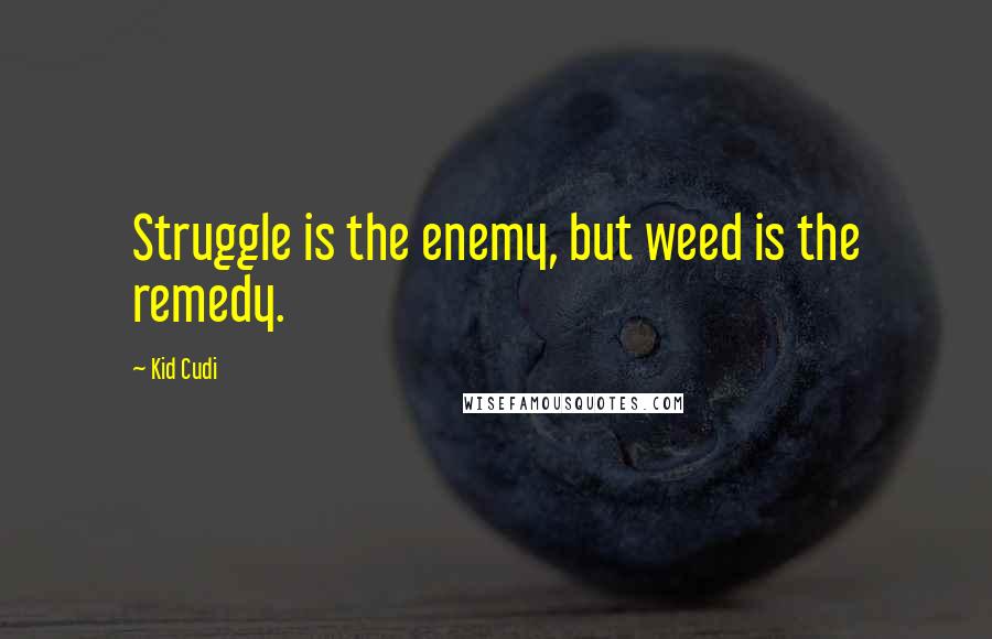 Kid Cudi quotes: Struggle is the enemy, but weed is the remedy.
