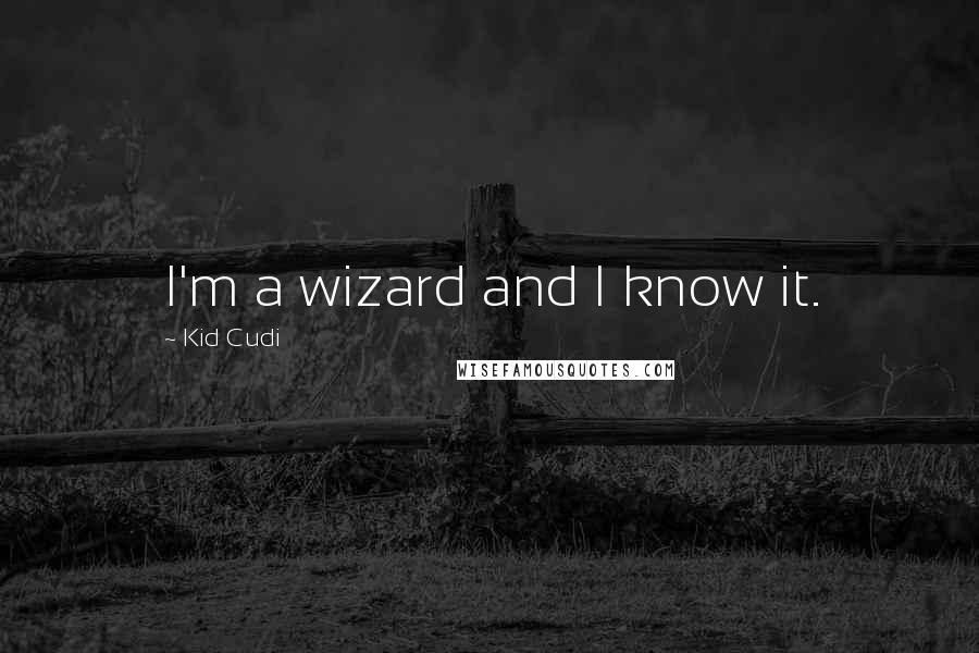 Kid Cudi quotes: I'm a wizard and I know it.