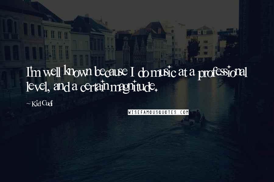 Kid Cudi quotes: I'm well known because I do music at a professional level, and a certain magnitude.