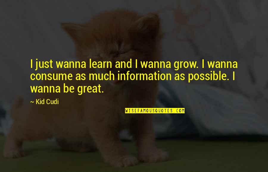 Kid Cudi Quotes By Kid Cudi: I just wanna learn and I wanna grow.