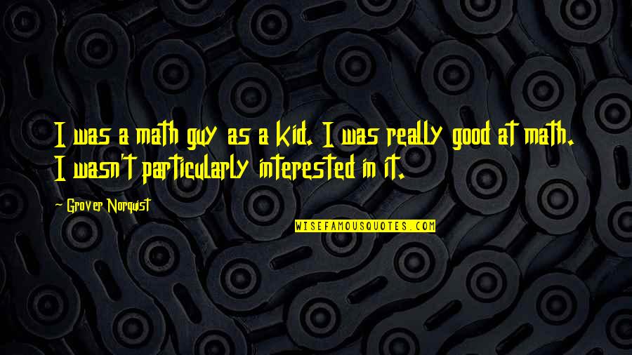 Kid Math Quotes By Grover Norquist: I was a math guy as a kid.