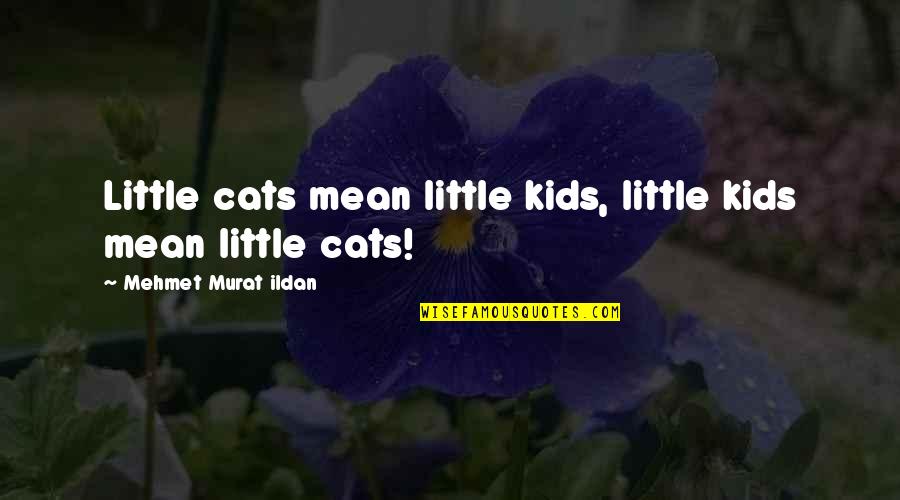 Kid Mean To Cat Quotes By Mehmet Murat Ildan: Little cats mean little kids, little kids mean Kid Mean To Cat Quotes By Mehmet Murat Ildan: Little cats mean little kids, little kids mean