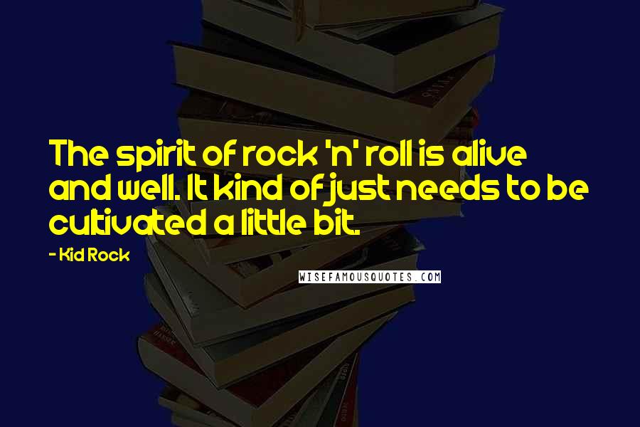 Kid Rock quotes: The spirit of rock 'n' roll is alive and well. It kind of just needs to be cultivated a little bit.