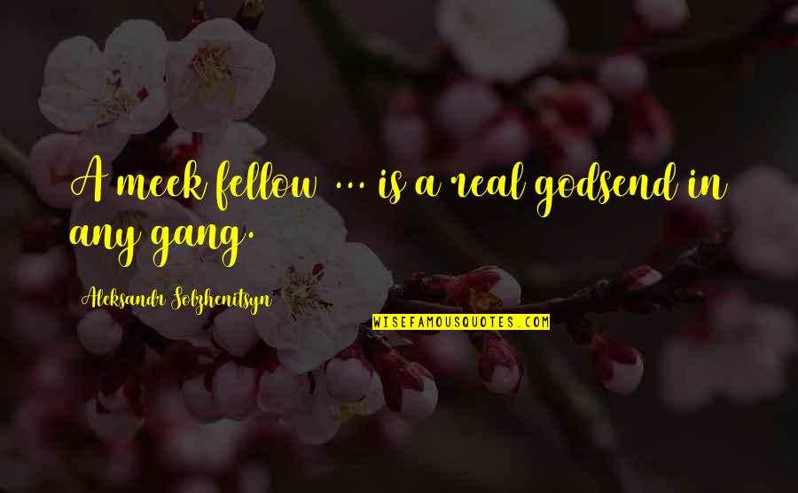 Kidane Mihret Quotes By Aleksandr Solzhenitsyn: A meek fellow ... is a real godsend Kidane Mihret Quotes By Aleksandr Solzhenitsyn: A meek fellow ... is a real godsend