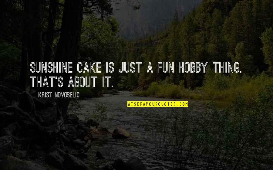 Kiddush Cup Quotes By Krist Novoselic: Sunshine Cake is just a fun hobby thing.