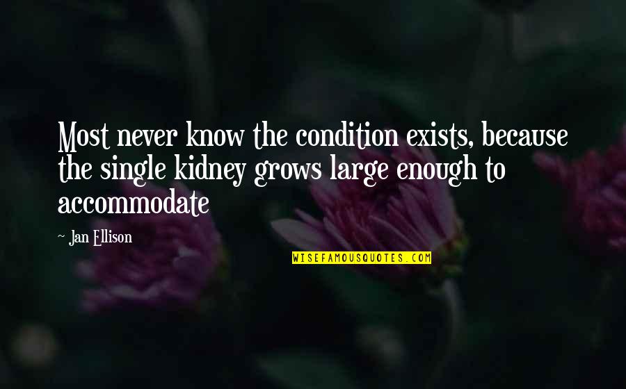 Kidney Now Quotes By Jan Ellison: Most never know the condition exists, because the Kidney Now Quotes By Jan Ellison: Most never know the condition exists, because the