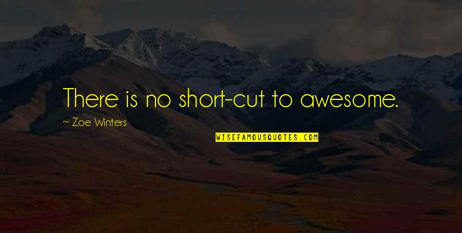 Kids Point Of View Point Of View Quotes By Zoe Winters: There is no short-cut to awesome.