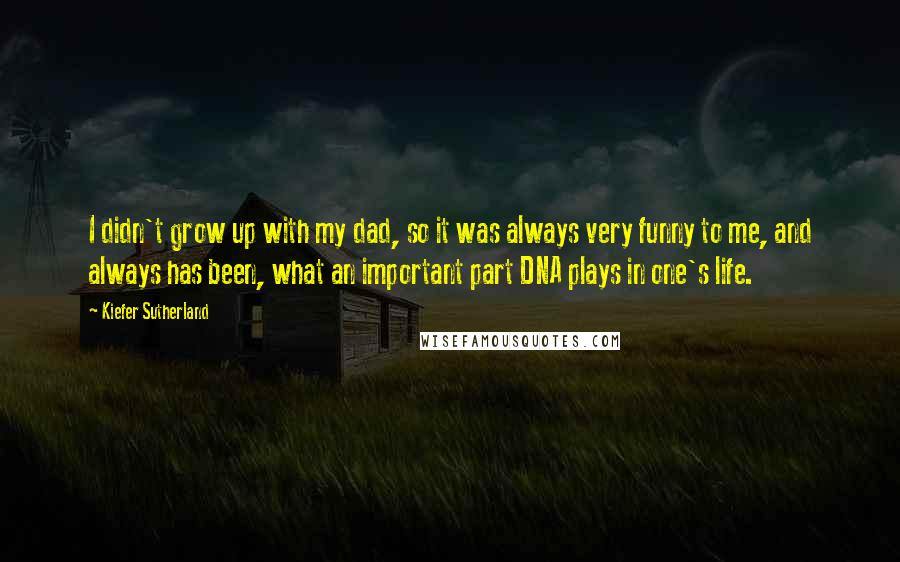 Kiefer Sutherland quotes: I didn't grow up with my dad, so it was always very funny to me, and always has been, what an important part DNA plays in one's life.