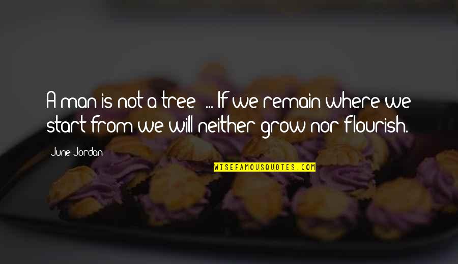 Kiep Ve Quotes By June Jordan: A man is not a tree' ... If