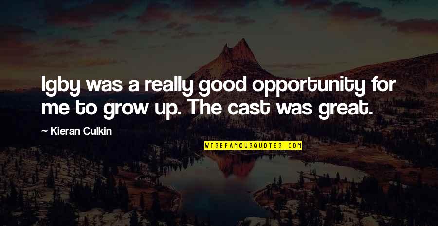 Kieran's Quotes By Kieran Culkin: Igby was a really good opportunity for me