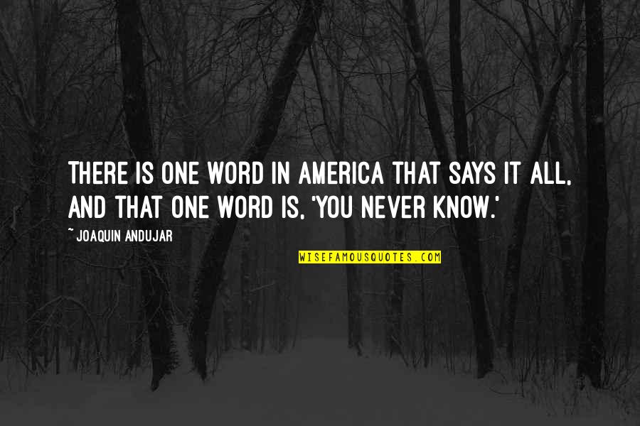 Kiernan Forbes Quotes By Joaquin Andujar: There is one word in America that says Kiernan Forbes Quotes By Joaquin Andujar: There is one word in America that says