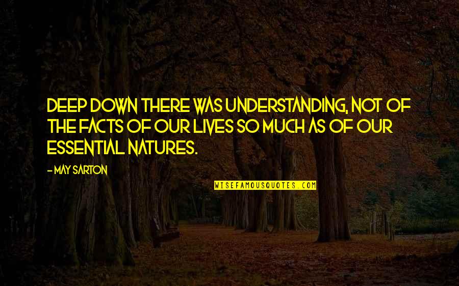 Kikker Talks Quotes By May Sarton: Deep down there was understanding, not of the Kikker Talks Quotes By May Sarton: Deep down there was understanding, not of the
