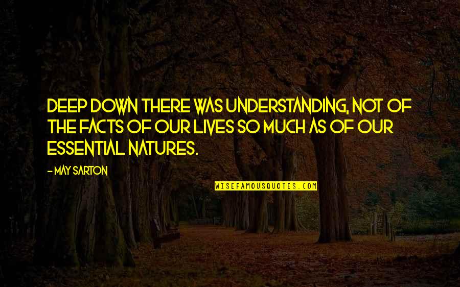 Kikker Talks Quotes By May Sarton: Deep down there was understanding, not of the