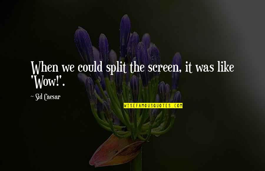 Kikos Kosher Quotes By Sid Caesar: When we could split the screen, it was