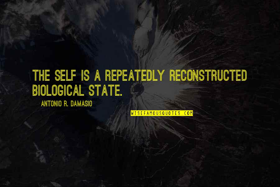 Kile Woodwork Quotes By Antonio R. Damasio: The self is a repeatedly reconstructed biological state.