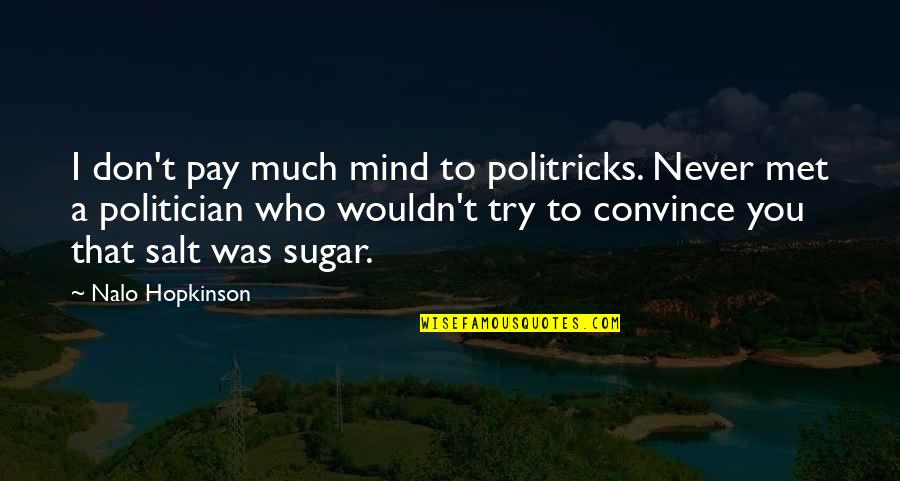 Kilinc Oyunlari Quotes By Nalo Hopkinson: I don't pay much mind to politricks. Never