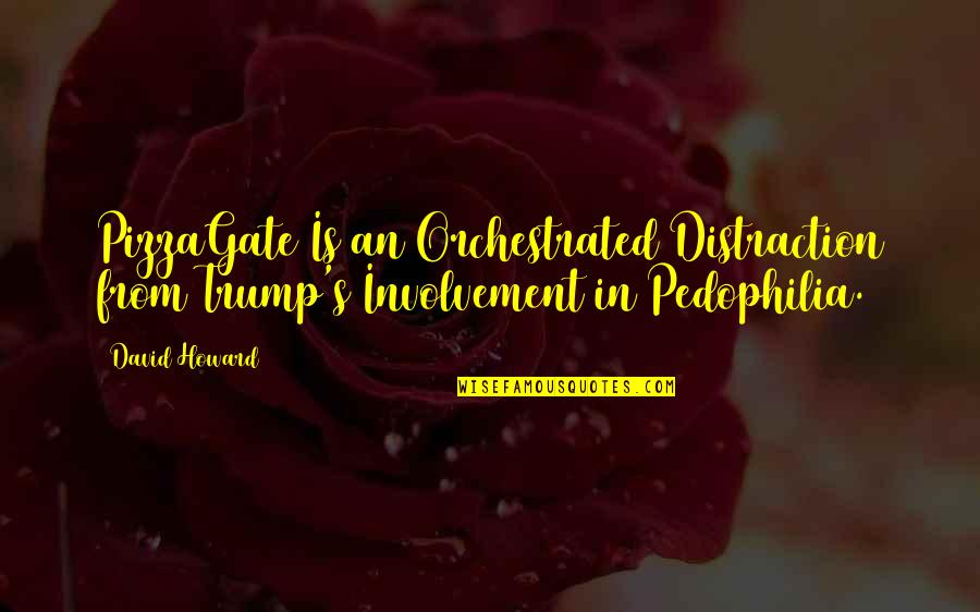 Kill Em With Kindness Tumblr Quotes By David Howard: PizzaGate Is an Orchestrated Distraction from Trump's Involvement