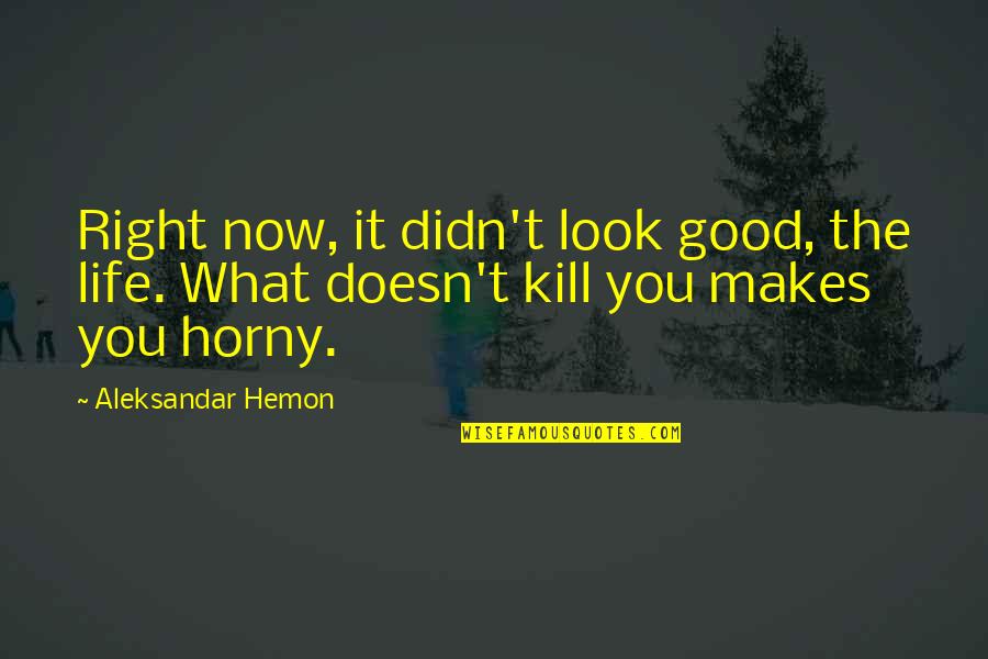 Kill What Quotes By Aleksandar Hemon: Right now, it didn't look good, the life.