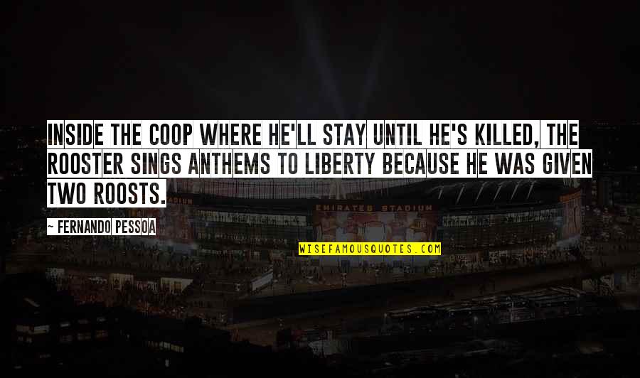 Killed Inside Quotes By Fernando Pessoa: Inside the coop where he'll stay until he's Killed Inside Quotes By Fernando Pessoa: Inside the coop where he'll stay until he's