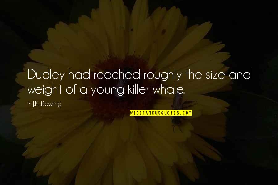 Killer Whale Quotes By J.K. Rowling: Dudley had reached roughly the size and weight