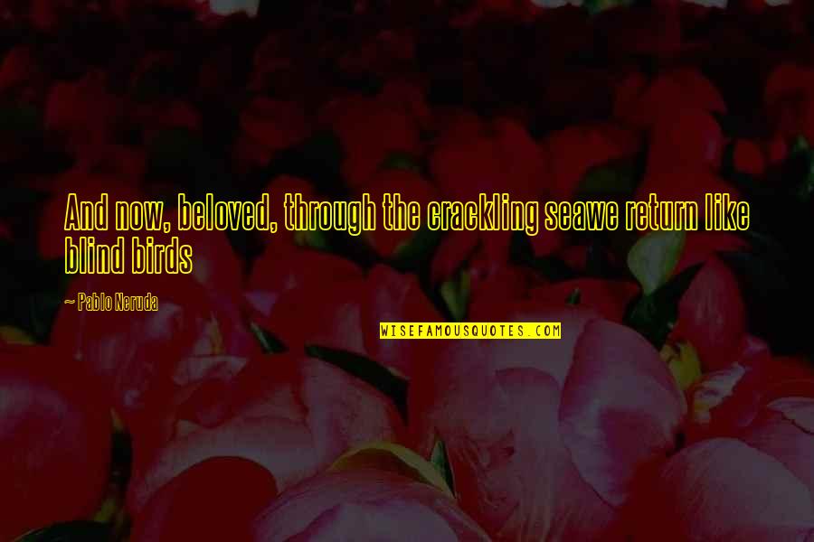 Killing Creativity Quotes By Pablo Neruda: And now, beloved, through the crackling seawe return