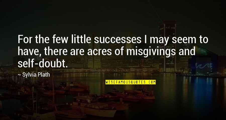 Killion For Senate Quotes By Sylvia Plath: For the few little successes I may seem Killion For Senate Quotes By Sylvia Plath: For the few little successes I may seem
