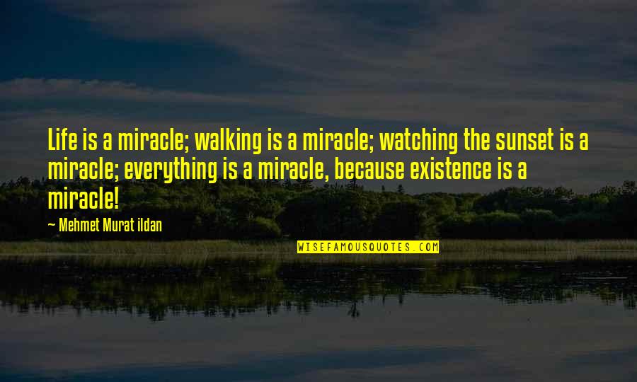 Killip Classification Quotes By Mehmet Murat Ildan: Life is a miracle; walking is a miracle;