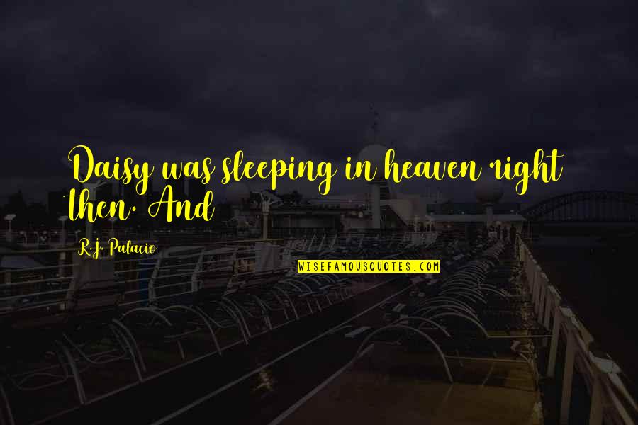 Kilmister Quotes By R.J. Palacio: Daisy was sleeping in heaven right then. And