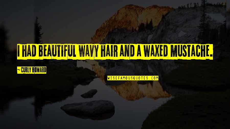 Kilo Kish Quotes By Curly Howard: I had beautiful wavy hair and a waxed