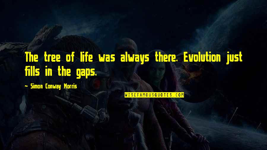 Kilowatts To Amp Quotes By Simon Conway Morris: The tree of life was always there. Evolution Kilowatts To Amp Quotes By Simon Conway Morris: The tree of life was always there. Evolution