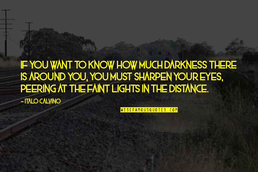 Kim And Aggie Quotes By Italo Calvino: If you want to know how much darkness