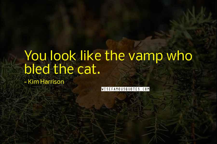 Kim Harrison quotes: You look like the vamp who bled the cat.