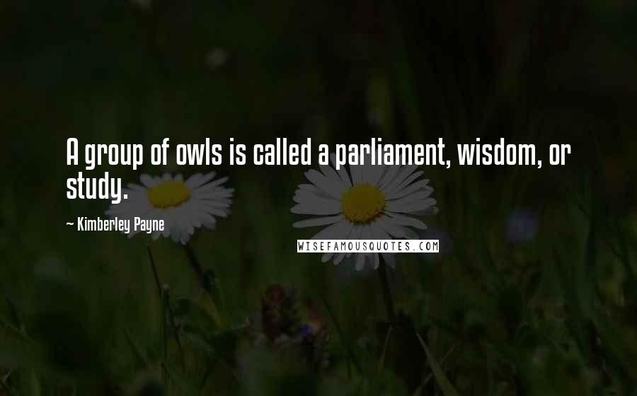 Kimberley Payne quotes: A group of owls is called a parliament, wisdom, or study.