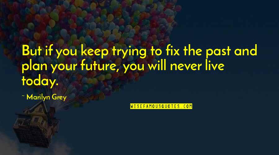 Kimberley Process Quotes By Marilyn Grey: But if you keep trying to fix the