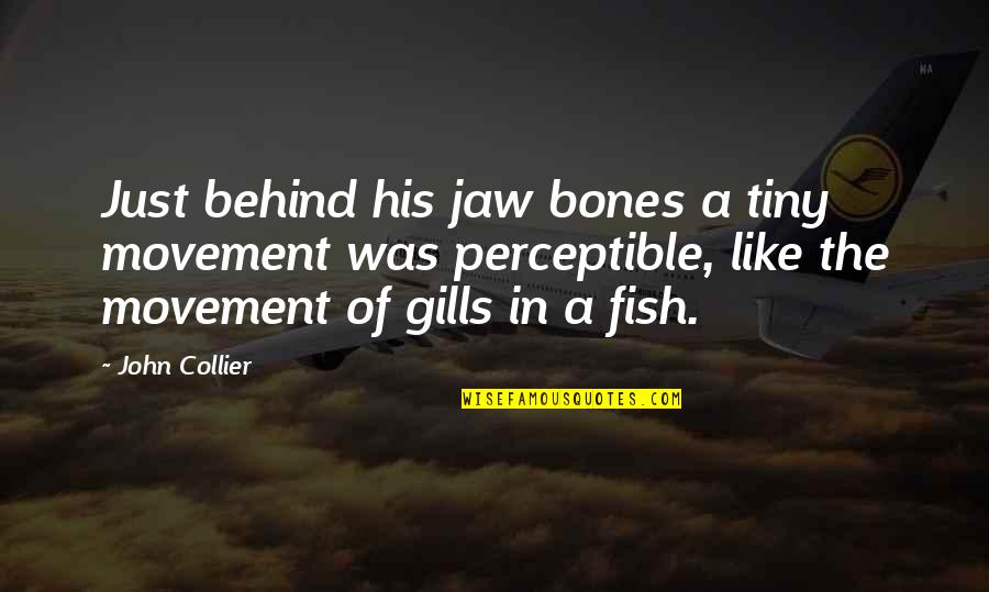 Kimbra Shanafelt Quotes By John Collier: Just behind his jaw bones a tiny movement Kimbra Shanafelt Quotes By John Collier: Just behind his jaw bones a tiny movement