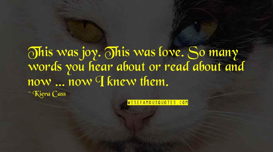 Kimbrel Craig Quotes By Kiera Cass: This was joy. This was love. So many