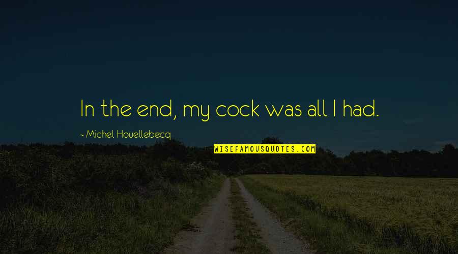 Kimdir Bu Quotes By Michel Houellebecq: In the end, my cock was all I Kimdir Bu Quotes By Michel Houellebecq: In the end, my cock was all I
