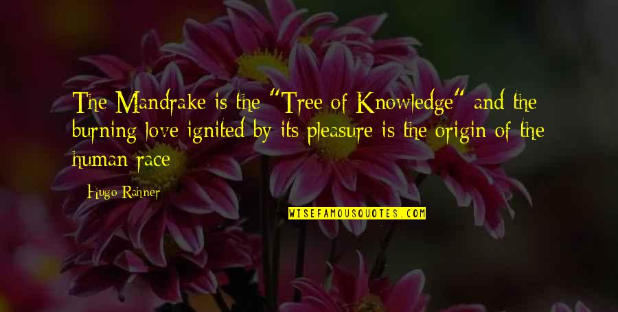 Kimetsu No Yaiba Best Quotes By Hugo Rahner: The Mandrake is the "Tree of Knowledge" and