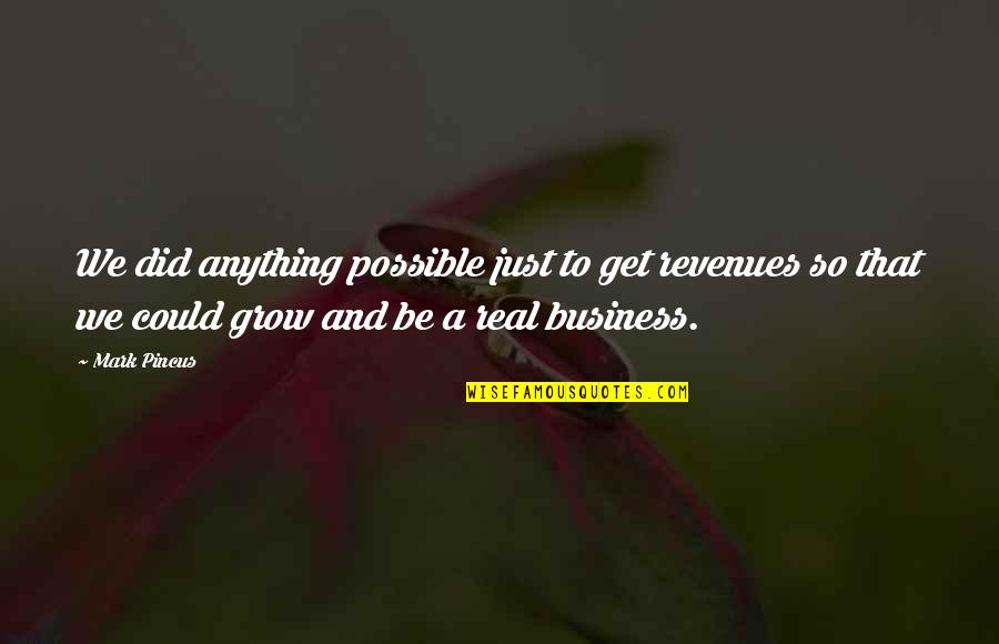 Kimitoshi Kohno Quotes By Mark Pincus: We did anything possible just to get revenues Kimitoshi Kohno Quotes By Mark Pincus: We did anything possible just to get revenues