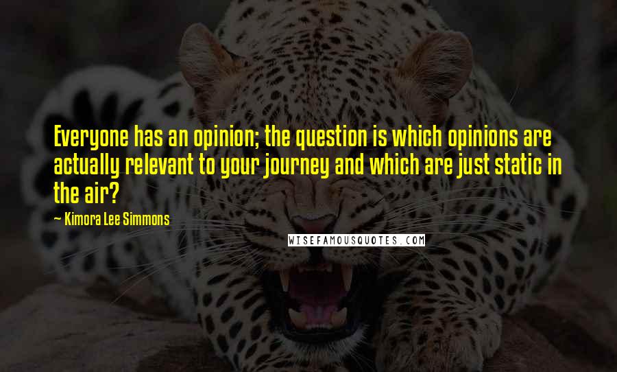 Kimora Lee Simmons quotes: Everyone has an opinion; the question is which opinions are actually relevant to your journey and which are just static in the air?