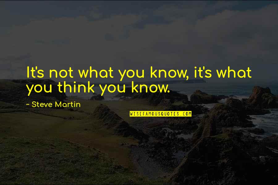 Kimple Translucents Quotes By Steve Martin: It's not what you know, it's what you