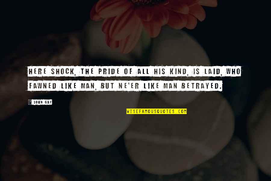 Kind Of Man Quotes By John Gay: Here Shock, the pride of all his kind,