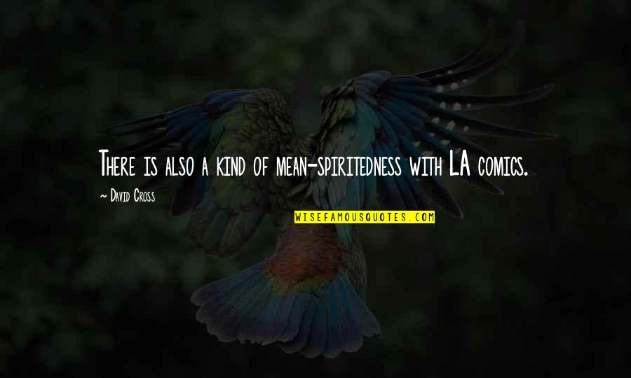 Kind Of Mean Quotes By David Cross: There is also a kind of mean-spiritedness with