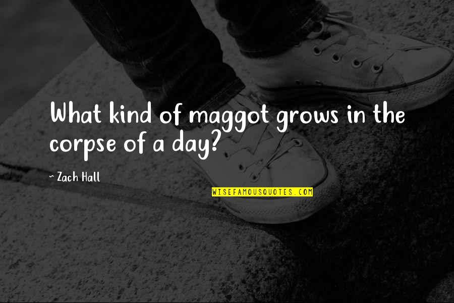 Kind Of Night Quotes By Zach Hall: What kind of maggot grows in the corpse