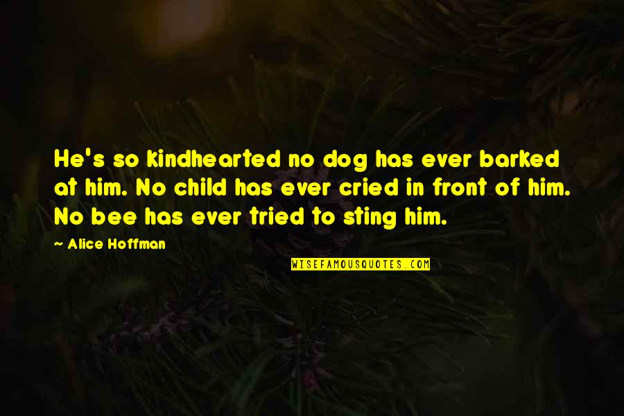 Kindhearted Quotes By Alice Hoffman: He's so kindhearted no dog has ever barked