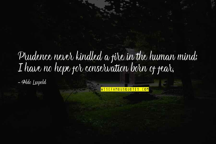 Kindled Quotes By Aldo Leopold: Prudence never kindled a fire in the human