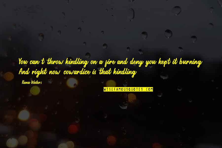 Kindling Quotes By Ilana Waters: You can't throw kindling on a fire and Kindling Quotes By Ilana Waters: You can't throw kindling on a fire and