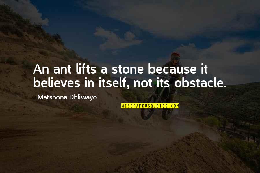 Kindneess Quotes By Matshona Dhliwayo: An ant lifts a stone because it believes